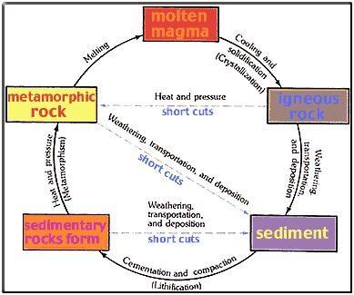 685_life-cycle.png