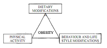 72_Define the Dietary and Lifestyle Modifications - Obesity.png