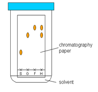 732_CHROMATOGRAPHY.png