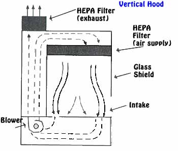 75_Explain the Laminar Flow Hood - Biological Safety Cabinet.png