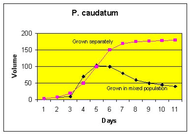 75_grown separation1.png