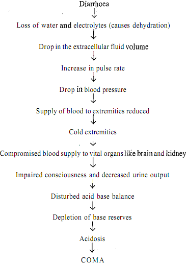 784_Consequences of Diarrhoea.png