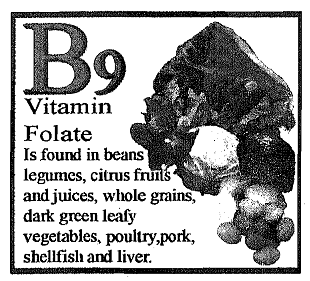 790_Determine the Food Sources of Folate.png