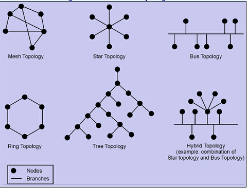 802_network topology.png
