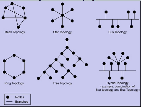 Introduction to Networks - ppt download