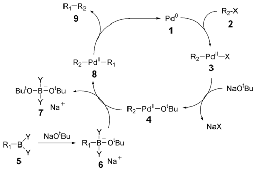 809_Suzuki-reaction-mechanism.png