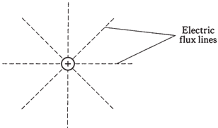 836_Magnetic polarity1.png