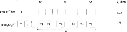 855_Example of octahedral complexes.png