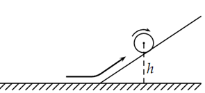 895_Maximum Height of Ball.png