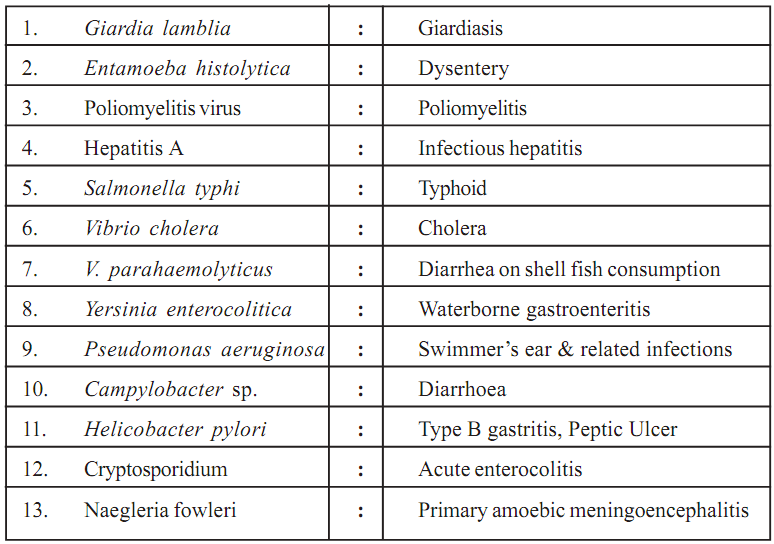 927_Explain the Microbiological Study of Water.png