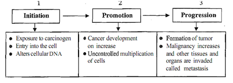 930_Development of Cancer.png