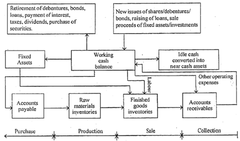 935_Cash Cycle.png