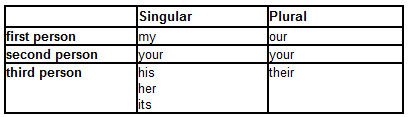 955_Possessive Pronouns and Pronominal Adjectives 2.png