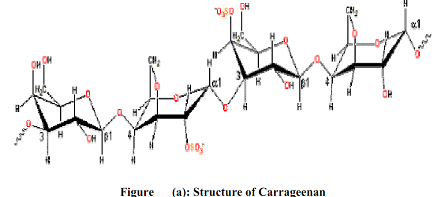 988_biology.png