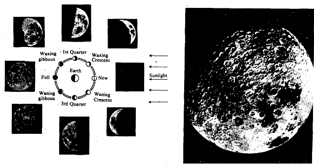 989_Moon- Earth Companion.png