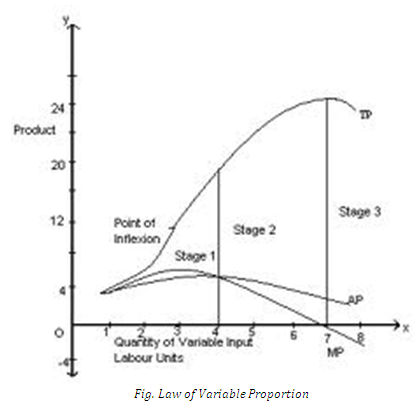 Theory of PRoduction, Production Function Assignment Help