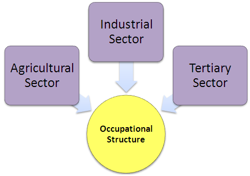 Occupational Structure Assignment Help