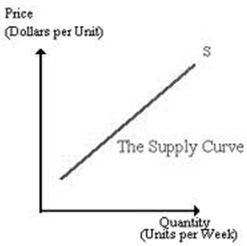 Theory of Supply Assignment Help